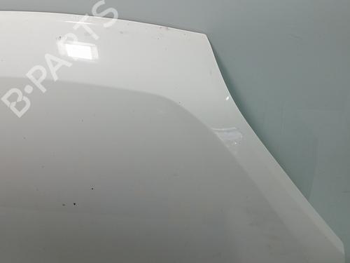 Hood FIAT DOBLO Cargo (263_)  | BP29548864C1 