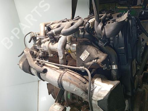 Engine VOLVO V50 (545) 2.0 D | BP39610117M1 - Image 7