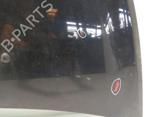 Hood RENAULT CLIO III (BR0/1, CR0/1)  | BP13530853C1 