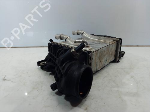 Intercooler MAN TGE Van  | BP29717306M30 