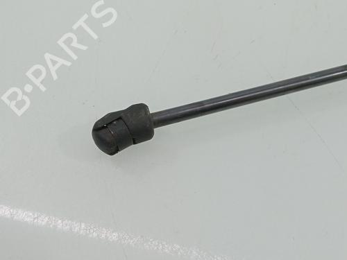 Hood lift support AUDI E-TRON (GEN)  | BP29536825C139 