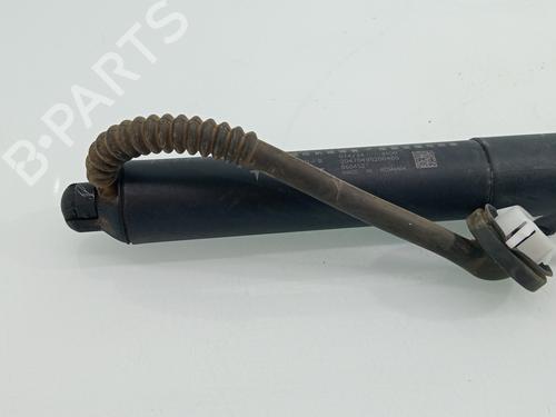 Tailgate lift support TESLA MODEL Y (5YJY)  | BP29194581C138 