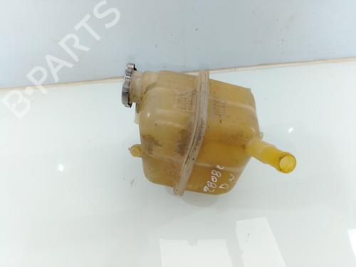 Expansion tank NISSAN X-TRAIL II (T31)  | BP28387384C120 