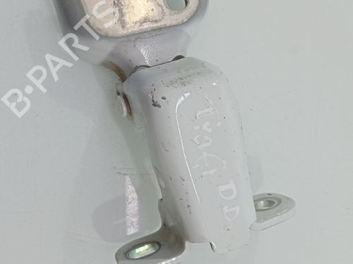 Used Hinge/Door check strap RENAULT TRAFIC III Van (FG_) [2014-2025]  30279298