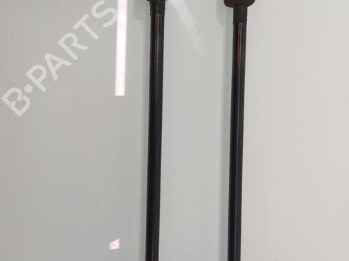 Tailgate lift support FIAT 500L (351_, 352_) 1.4 (199LYB1B) | BP14216655C138 