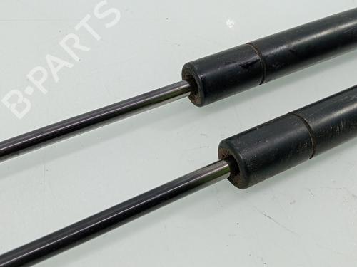Tailgate lift support FORD S-MAX (WA6)  | BP28335480C138 