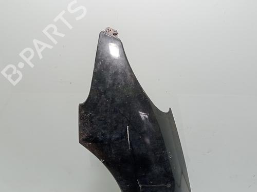 Left front fenders PEUGEOT 206 Hatchback (2A/C) | BP30882572C41