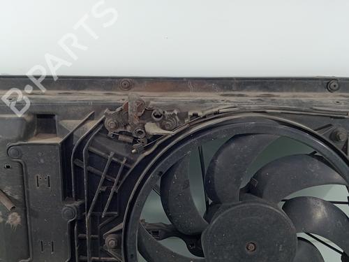 Radiator fan PEUGEOT 206 Hatchback (2A/C) 1.4 LPG | BP25145298M35 
