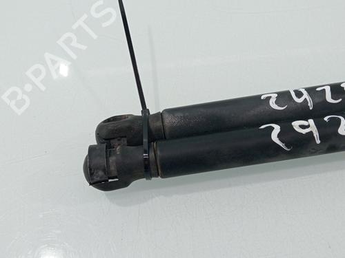 Tailgate lift support FORD FIESTA V (JH_, JD_)  | BP29561595C138 