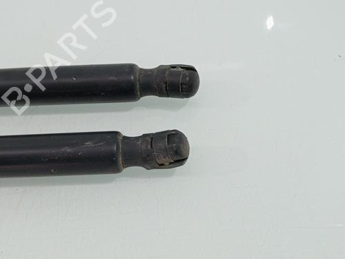 Tailgate lift support FORD S-MAX (WA6)  | BP28335480C138 