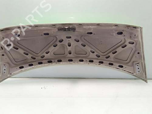 Hood FORD TRANSIT Van (FA_ _) 2.4 DI (FAA_, FAB_, FAC_, FAD_) | BP21780120C1 