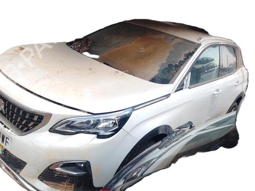 Brugte PEUGEOT 3008 I MPV (0U_) [2009-2017]  4268518