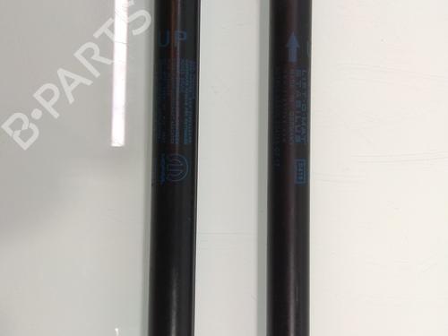 Tailgate lift support FIAT 500L (351_, 352_) 1.4 (199LYB1B) | BP14216655C138 