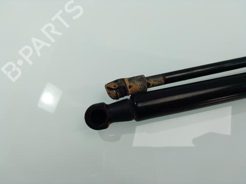 Tailgate lift support TOYOTA LAND CRUISER PRADO (_J15_)  | BP26700516C138 