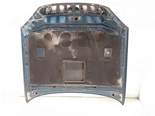 Hood HYUNDAI TERRACAN (HP)  | BP21142486C1 