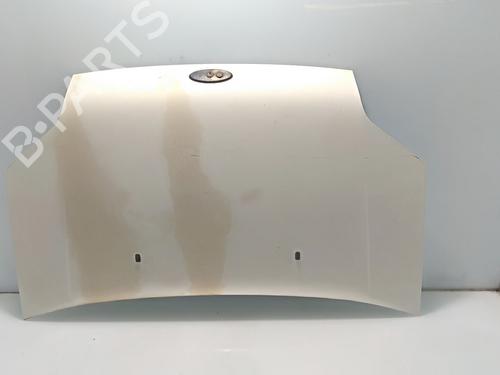 Used Hood FORD TRANSIT CONNECT (P65_, P70_, P80_) 1.8 TDCi (110 hp) 22273969