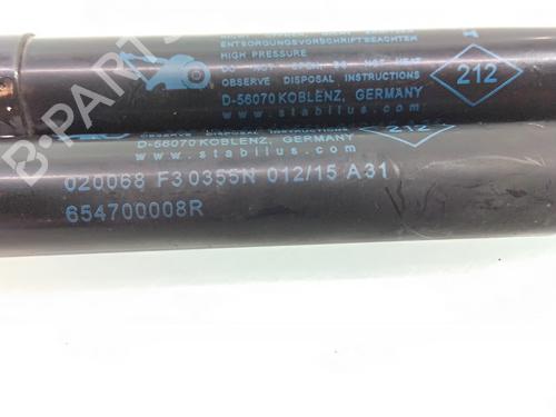 Hood lift support RENAULT SCÉNIC III (JZ0/1_)  | BP18026968C139 