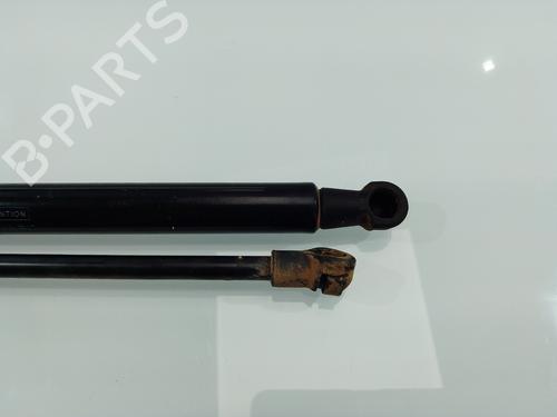 Tailgate lift support TOYOTA LAND CRUISER PRADO (_J15_)  | BP26700516C138 