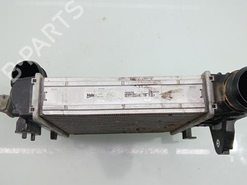 Ladeluftkühler PEUGEOT 3008 I MPV (0U_)  | BP29724614M30 