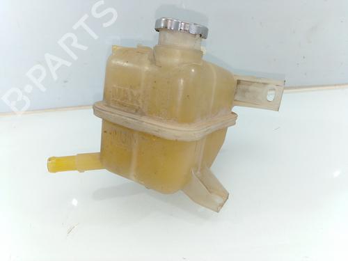 Expansion tank NISSAN X-TRAIL II (T31)  | BP28387384C120 