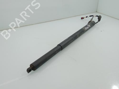 Tailgate lift support AUDI E-TRON (GEN)  | BP29536764C138 