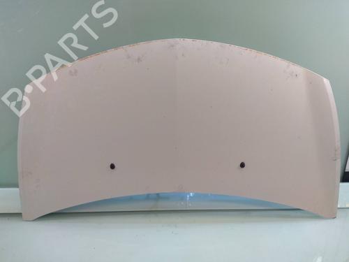 Used Hood RENAULT CLIO III (BR0/1, CR0/1) 1.5 dCi (BR17, CR17) (86 hp) 7819332