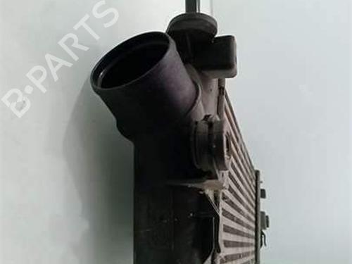 Intercooler NISSAN PRIMASTAR Platform/Chassis (X83) 2.5 dCi 140 | BP38522289M30 - Image 5