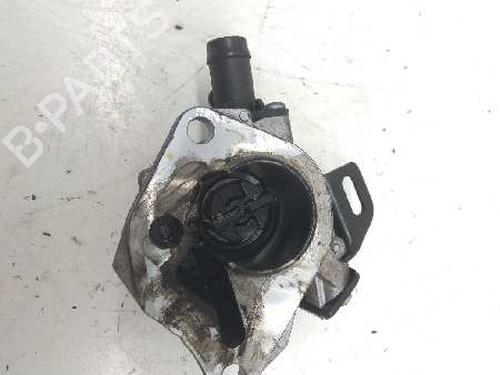 Vacuum pump RENAULT KANGOO / GRAND KANGOO II (KW0/1_)  | BP5307865M80 