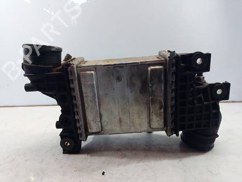 Intercooler MAN TGE Van  | BP29717306M30 