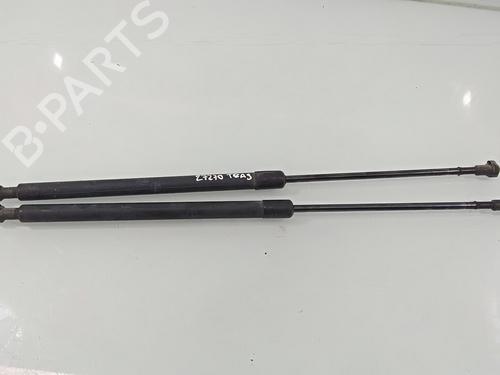 Tailgate lift support NISSAN X-TRAIL I (T30)  | BP18470984C138 