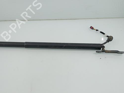 Tailgate lift support AUDI E-TRON (GEN)  | BP29536764C138 