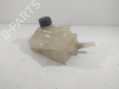 Other RENAULT SCÉNIC III (JZ0/1_) | BP14216425O1