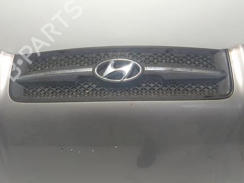 Hood HYUNDAI TUCSON (JM)  | BP18781552C1 