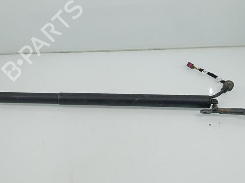 Tailgate lift support AUDI E-TRON (GEN)  | BP29536764C138 