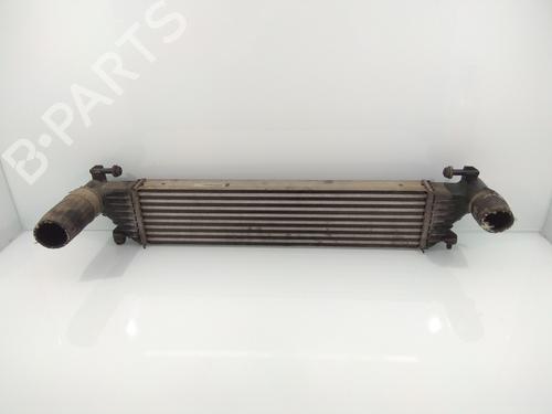 Used Intercooler FIAT 500L (351_, 352_) 1.4 (199LYB1B) (95 hp) 9818809