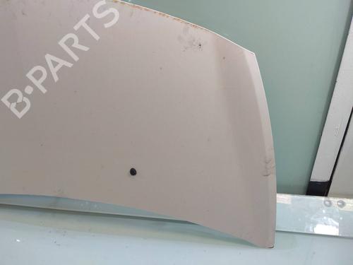 Hood RENAULT CLIO III (BR0/1, CR0/1) 1.5 dCi (BR17, CR17) | BP7819332C1