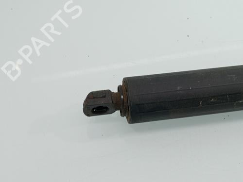 Tailgate lift support AUDI E-TRON (GEN)  | BP29536764C138 