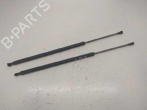 Achterklepdemper BMW X3 (E83) 2.0 d (150 hp) 14215927