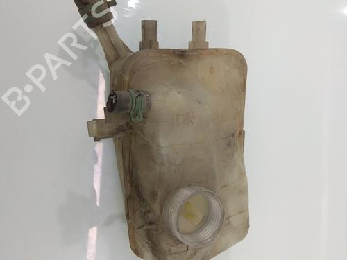 Used Expansion tank RENAULT MEGANE III Grandtour (KZ0/1) [2008-2016]  10031204