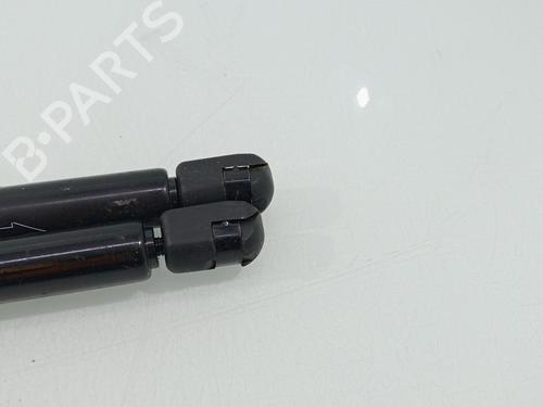 Tailgate lift support PEUGEOT 206 Hatchback (2A/C) | BP30205633C138