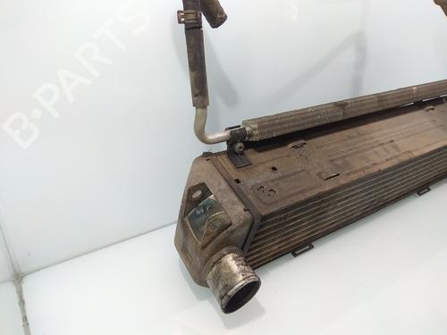 Intercooler LAND ROVER DISCOVERY III (L319)  | BP11428635M30 