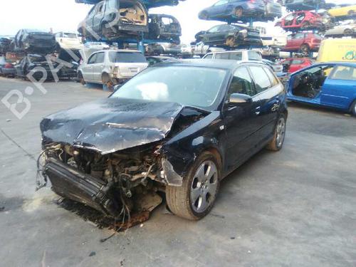 Elektronisk modul AUDI A3 (8P1) 2.0 TDI 16V | BP5290870M83
