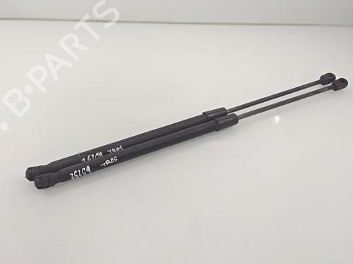 Tailgate lift support AUDI A3 (8P1)  | BP16580716C138 