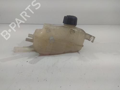 Other RENAULT SCÉNIC III (JZ0/1_) | BP14216425O1