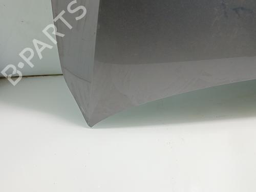 Hood AUDI E-TRON (GEN)  | BP29536737C1 