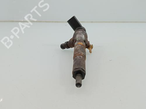 Injector RENAULT SCÉNIC II (JM0/1_) | BP28192462M100