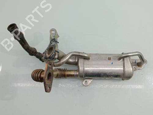 Egr RENAULT SCÉNIC III (JZ0/1_) [2008-2016]  30508484
