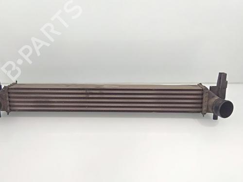 Intercooler SEAT IBIZA IV SC (6J1, 6P5) [2008-2018]  15769682