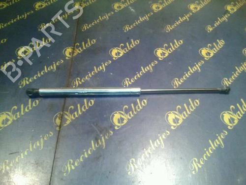Used Hood lift support VW GOLF IV (1J1) [1997-2008]  27039657
