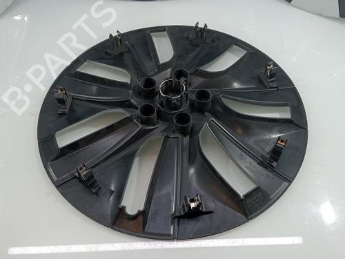 Hub cap TESLA MODEL Y (5YJY)  | BP29194576C160 